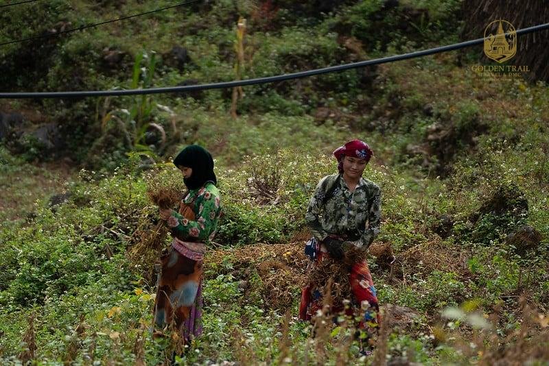 Capturing the Soul of Vietnam: A Photographer's Guide to the Country’s Most Scenic Trekking Trails